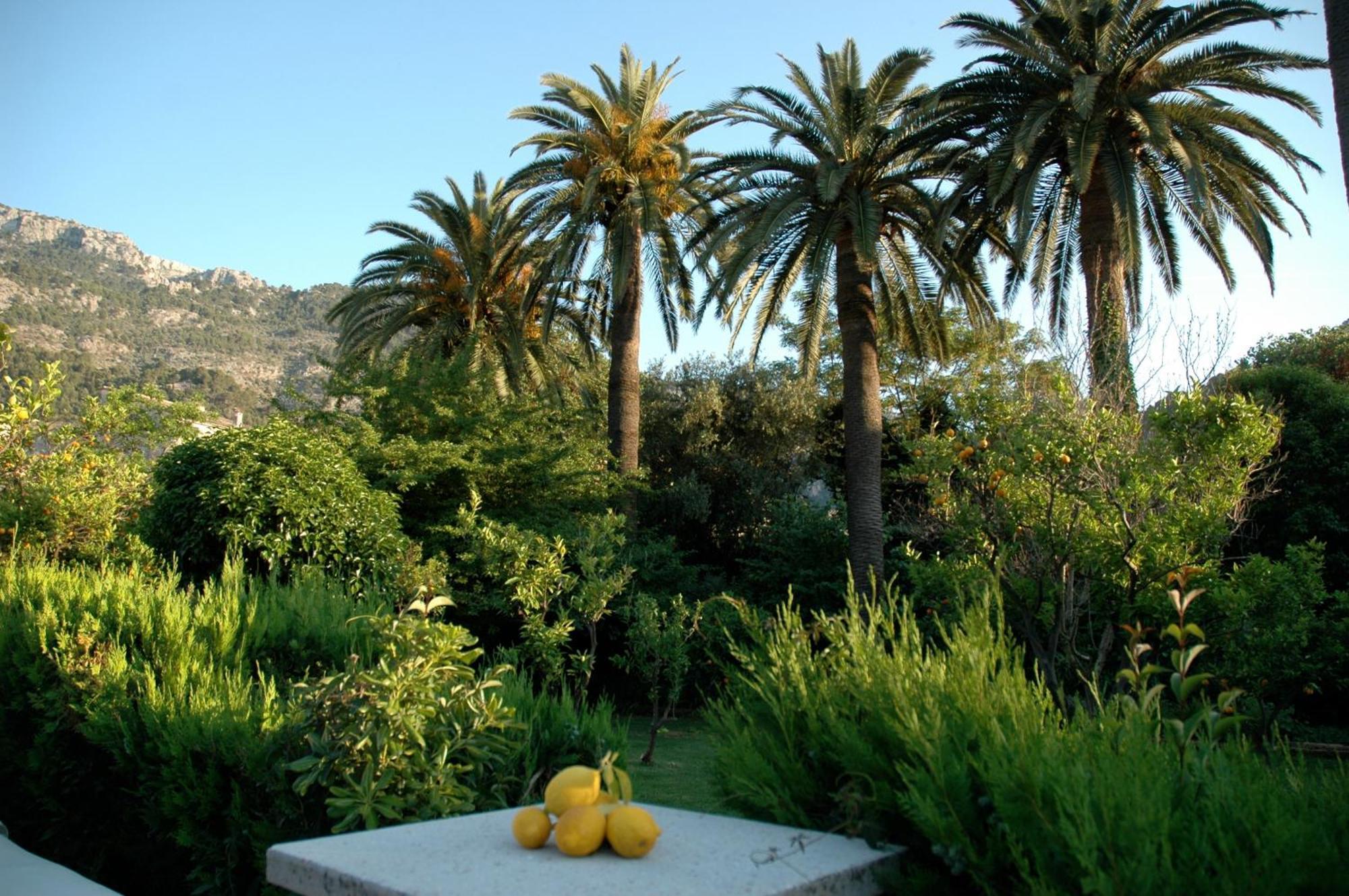 Hotel Can Roses Sóller Dış mekan fotoğraf