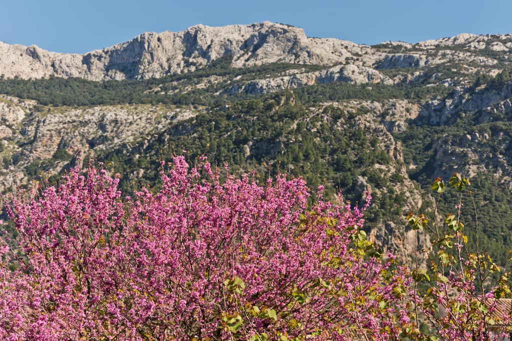 Hotel Can Roses Sóller Dış mekan fotoğraf