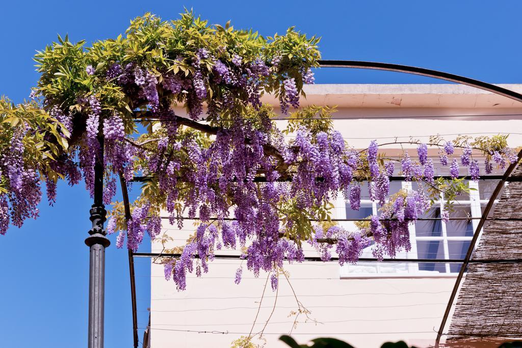 Hotel Can Roses Sóller Dış mekan fotoğraf